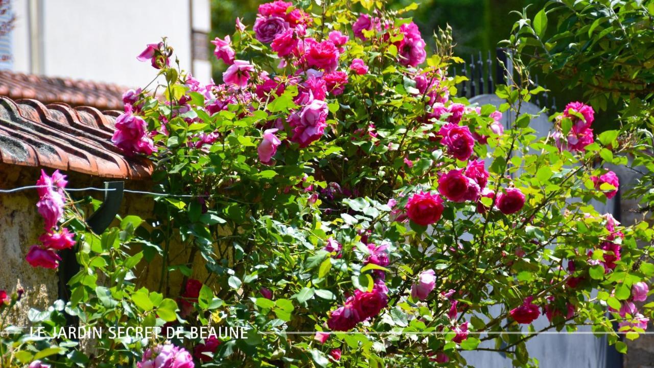 Le Jardin Secret De Beaune 博讷 外观 照片